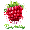 Raspberry costume
