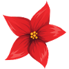 Blume Rot