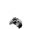 Bär