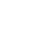 Border Terrier