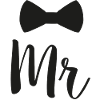 Mr Bowtie