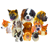 Dogs make me happy