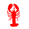 Lobster