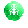 Ants