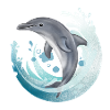 Tauch Dive Dolphin - Delfin