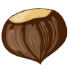Chestnut Tshirt unusual humor