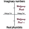 De vrais physiciens