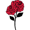 roses dorn