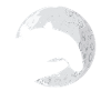 tapir