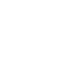 Geometric bear