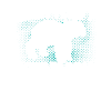 tapir