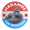 harambe