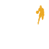 Basketball Evolution