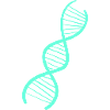 DNA Genetics Genetics Biology DNA