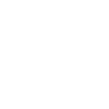 Vizsla
