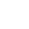 Border Terrier