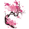 Sakura tree