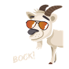 Bock with sunglasses