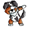 Australian Shepherd Gift Funny