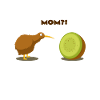 Kiwivogel Kiwifrucht