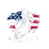 reining society