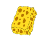 sponge