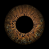 Deep iris