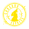 chocobo final fantasy