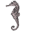 Spiky seahorse on black