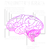 Engineer brain