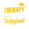 volley-ball