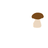 Evolution design of a boletus