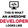 Developer Entwickler Développeur Computer Geek