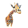 giraffe