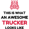 Routier / Chauffeur Poids-lourd / Camion /