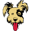 chien caniche dessin 202