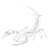Scorpio illustration drawing SKizze symbol icon