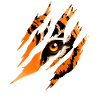 Tiger Eye