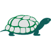 turtle_002