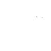 Panther predator