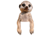 Erdmännchen Meerkat Brusttasche Pocket Bestseller