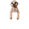 Erdmännchen Meerkat Brusttasche Pocket Bestseller