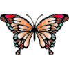 Schmetterling