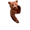 Bear chest pocket