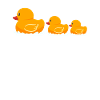 Ducks rubber duck