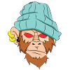 Face skull chimpanzee