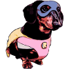 Dachshund superhero