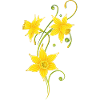Filigree Daffodils Flowers. Spring, Easter.