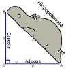 Hypotenuse math humor