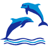 Dolphins & Waves, Dolphin